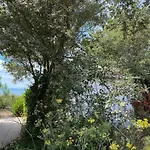 Holiday home Maison Vendeenne Renovee, Acces Direct Plage, Terrasses, Bbq, Parking Gratuit - Fr-1-336-123 Longeville-sur-Mer